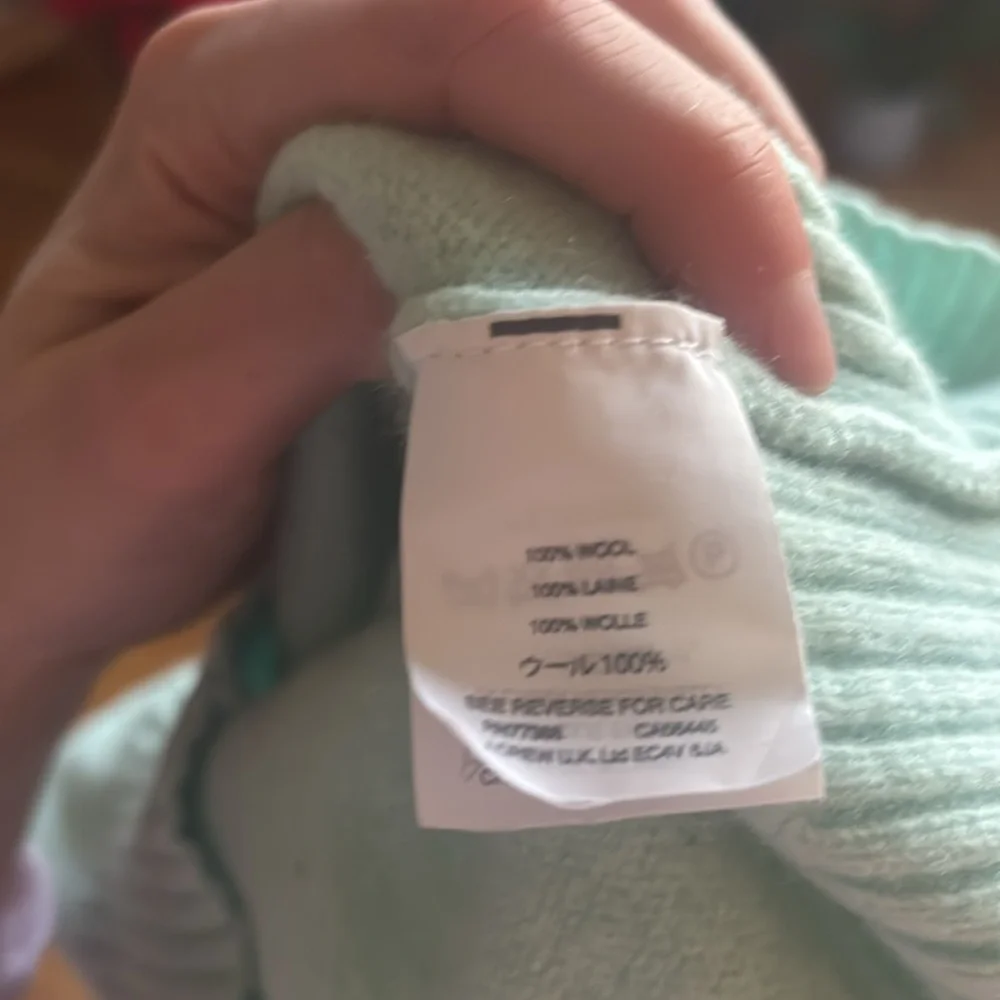 J. Crew Mint 100% Wool Crew Neck Sweater
